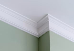 Doors, Trim, & Railings Painting